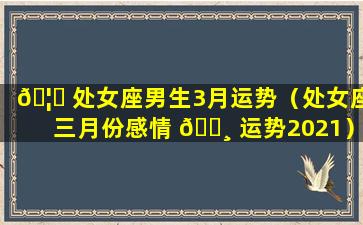 🦟 处女座男生3月运势（处女座三月份感情 🌸 运势2021）